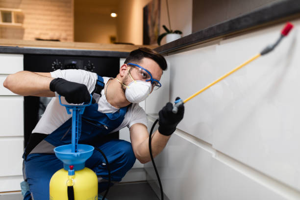 Best Wasp Removal Services  in Eclectic, AL