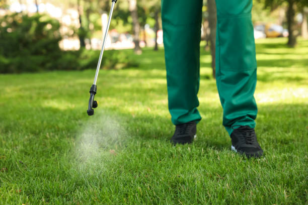 Best Bed Bug Extermination  in Eclectic, AL