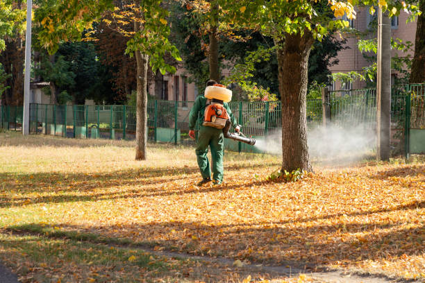 Best Exterminator Services  in Eclectic, AL