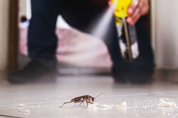 Best Best Pest Control Companies  in Eclectic, AL