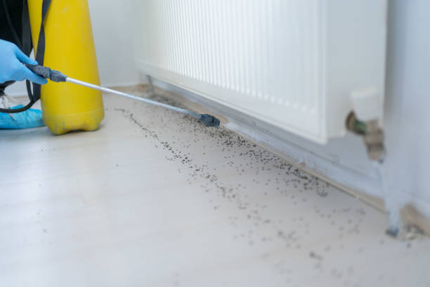 Best Mosquito Control Services  in Eclectic, AL