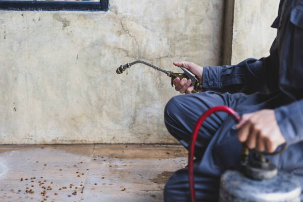 Best Termite Control Services  in Eclectic, AL